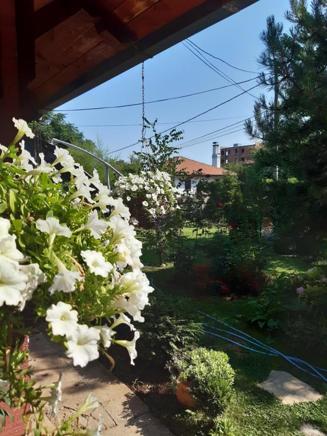Natura Apartment Belgrade Extérieur photo