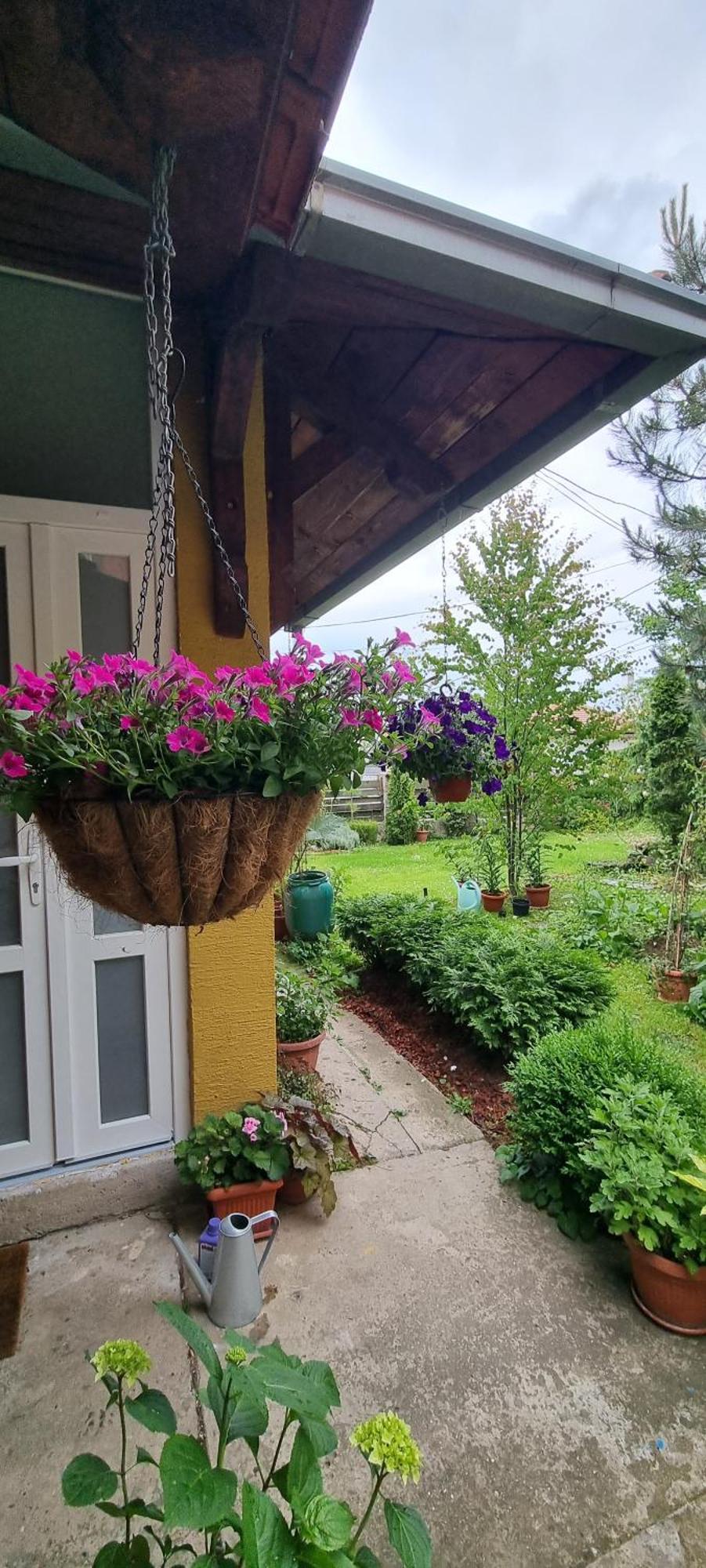 Natura Apartment Belgrade Extérieur photo